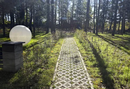 Благоустройство КП «ПриЛесной»: обновление зелёных зон