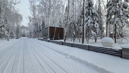 Чистота на каждом шагу в «ПриЛесном»