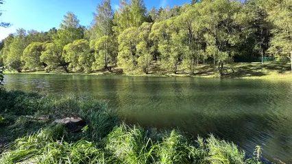 Благоустройство прибрежной зоны в коттеджном посёлке «Фаворит»