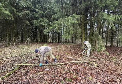 КП «Артёмово ИЖС»: забота о зелёных зонах — чистота и порядок на территории