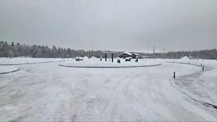 Очистка тротуаров и зон общего пользования в «Триумфальном»