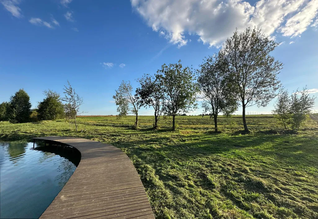 Благоустройство береговой зоны КП «Грибоедово»