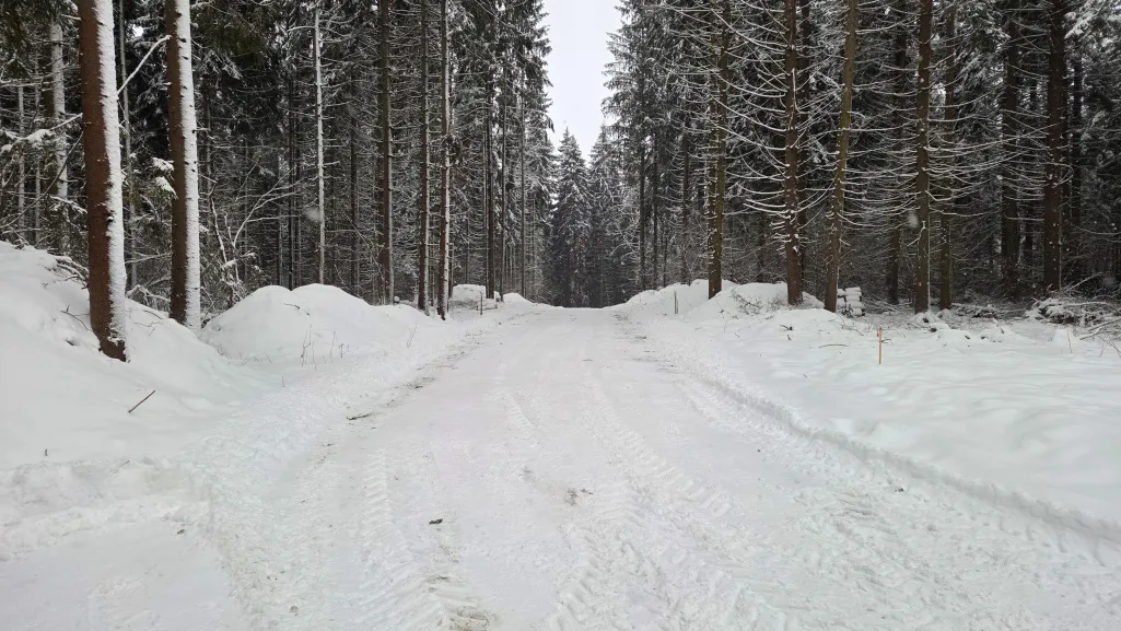 Зимний порядок в «Рига Лес»