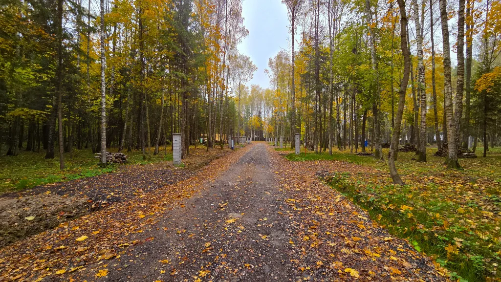 «ПриЛесной»: завершена отсыпка всех заездов