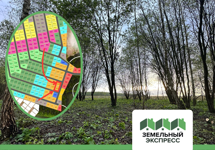 Проводим работы по облагораживанию территории в КП "Новое Растуново"﻿