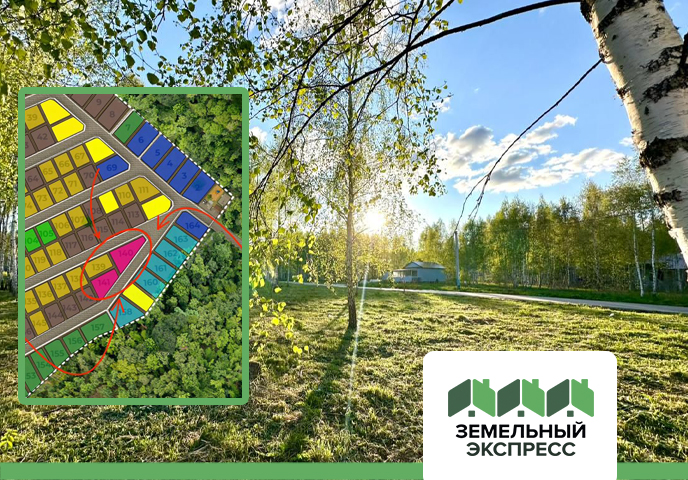 Облагораживание территории в КП "Лесной Остров"﻿