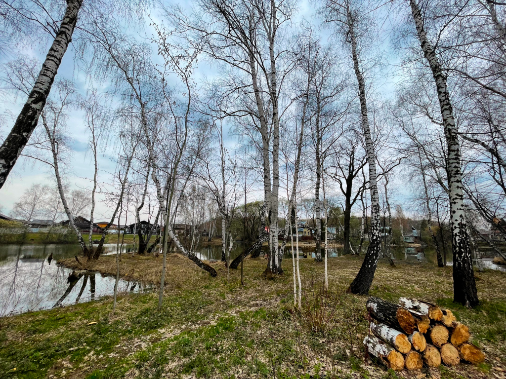 Рэд полоса берега.jpg