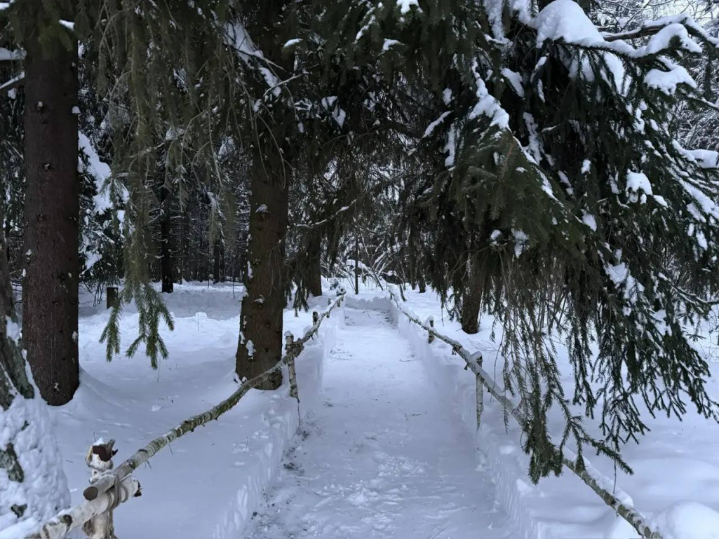 «Лесной Остров»: обустроили лесные тропы для зимнего отдыха