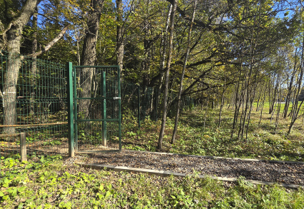 Благоустройство КП «Триумфальный»: обновление зелёных зон