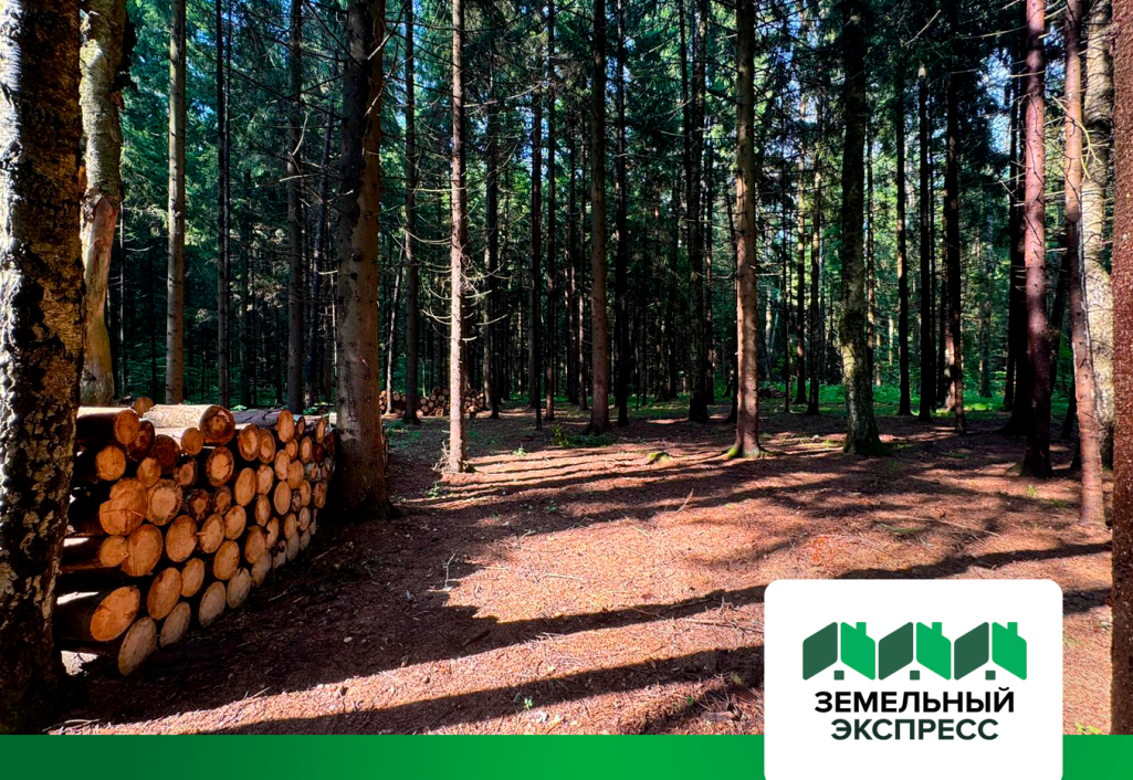 Благоустройство участков в поселке "Лесной остров"