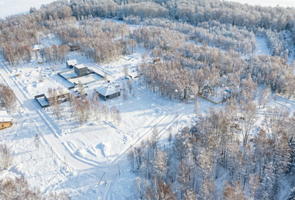 Лесной остров