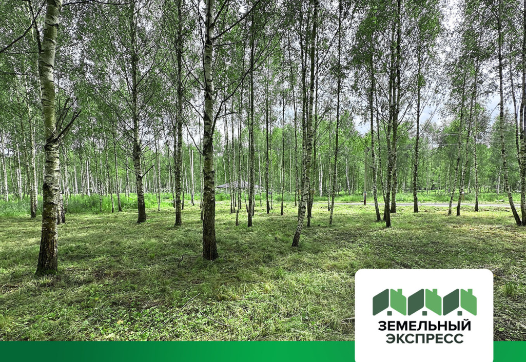 «Лесной остров» в новом зелёном наряде