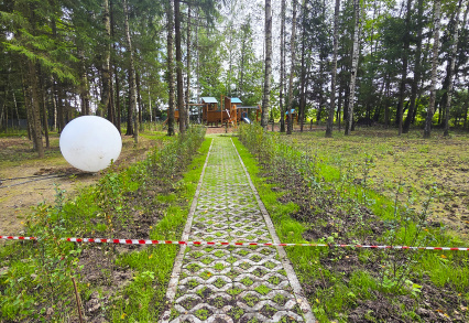 Зелёное обновление в КП «ПриЛесной»