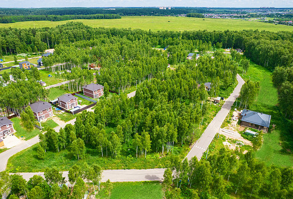 Лесной остров