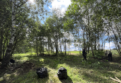 Благоустройство прибрежной зоны в КП «Есенино»