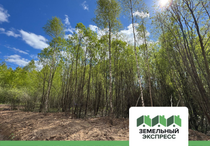 Запланированные работы по благоустройству в КП "Новое Растуново"