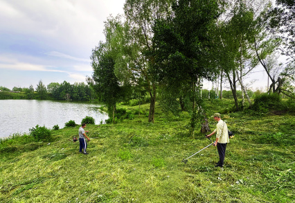 Благоустройство территории КП «Лазурный»: обновление зелёных зон