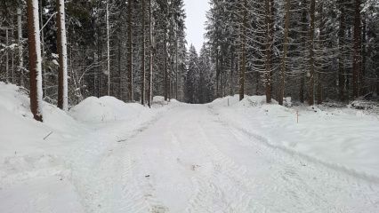 Зимний порядок в «Рига Лес»