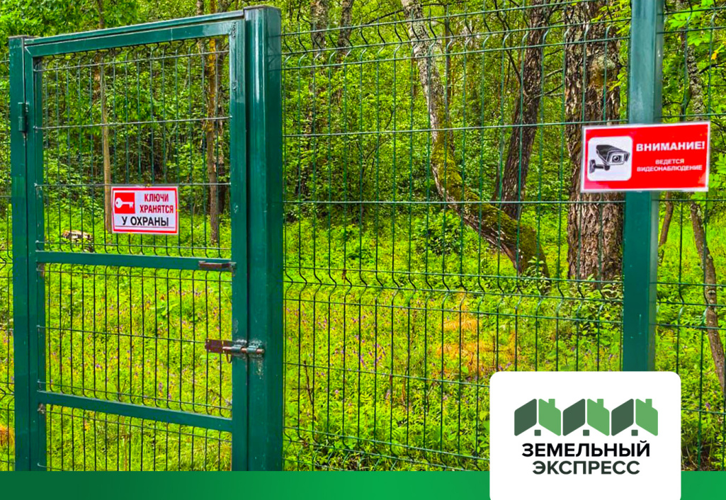 КП «Династия» становится ещё удобнее: организованы выходы в лес