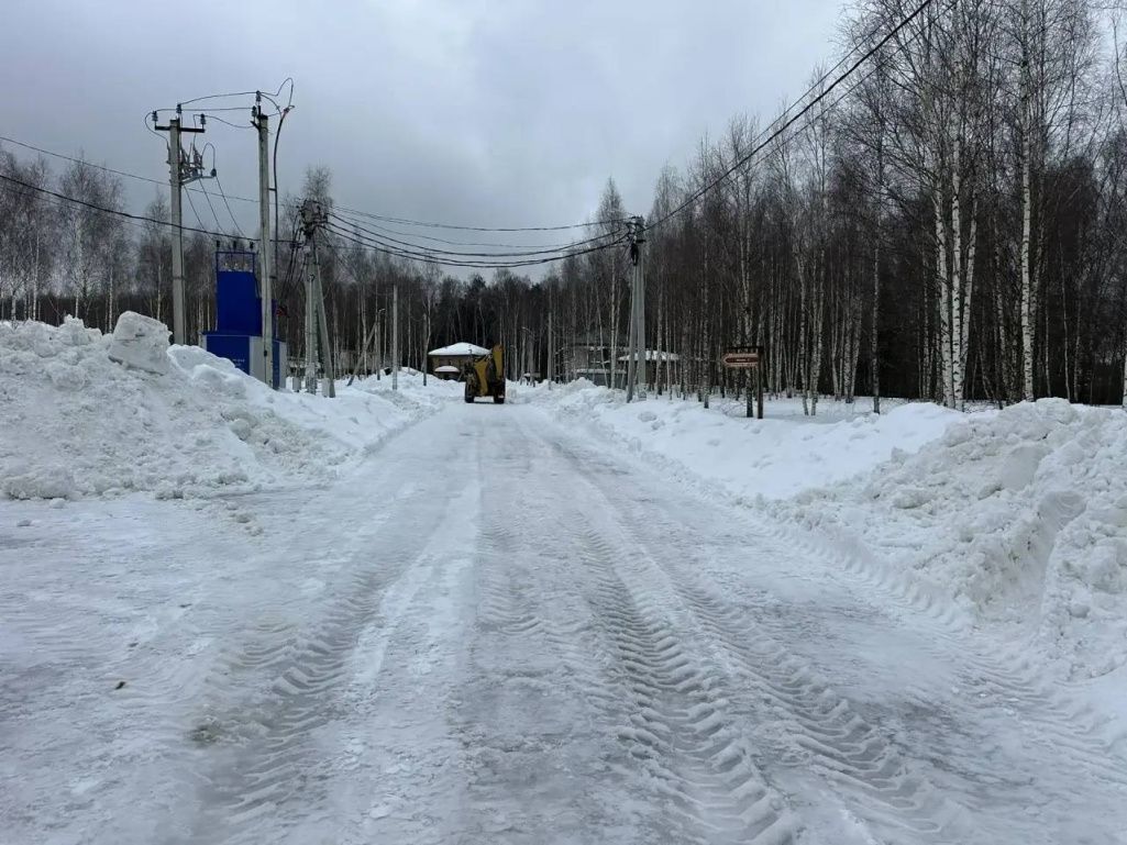КП «Лесной Остров»: дороги расчищены