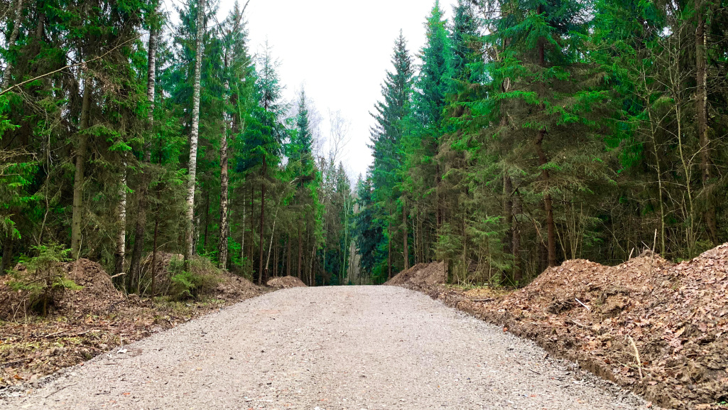 «РигаЛес»: проведена трамбовка щебня на внутрипоселковых дорогах.