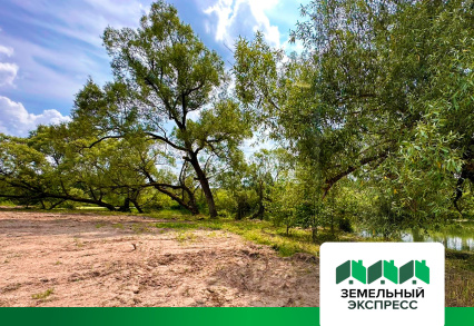 Благоустройство береговой зоны в поселке «Фаворит»