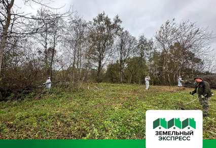 Покос газона и уборка сухостоя в поселке «Фаворит»