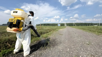 КП «Грибоедово»: обработка растительности