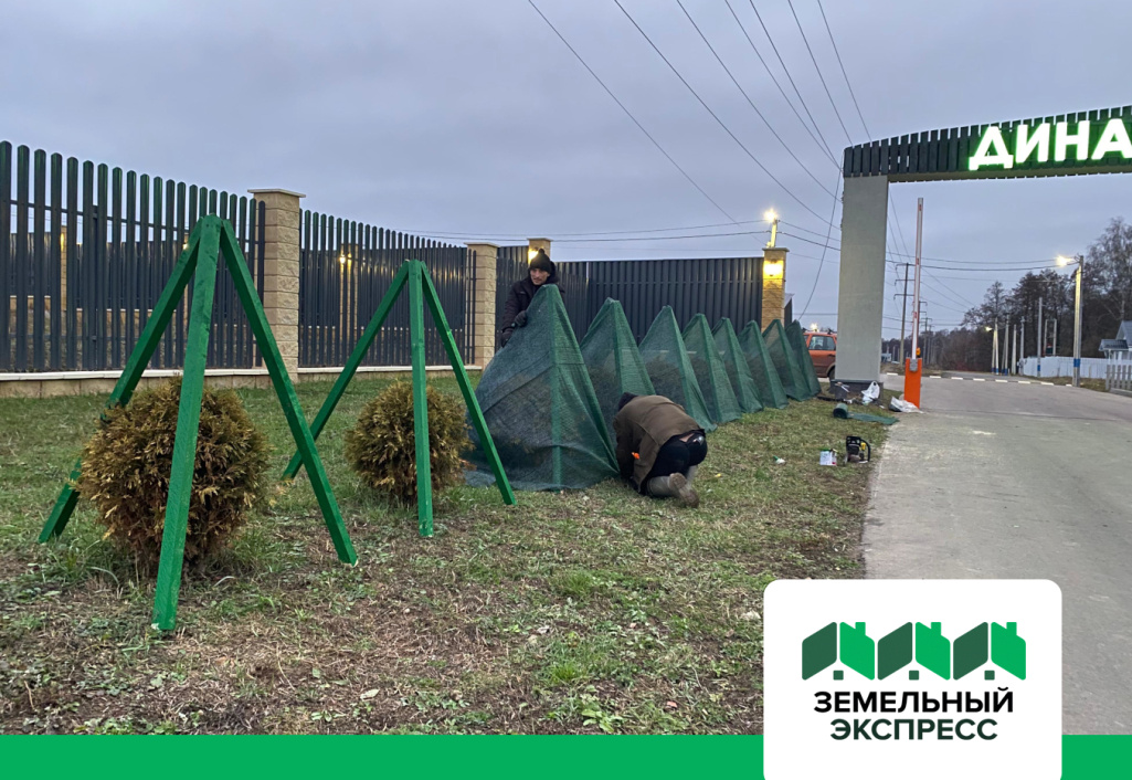 Утепление зеленых насаждений в КП “Династия”