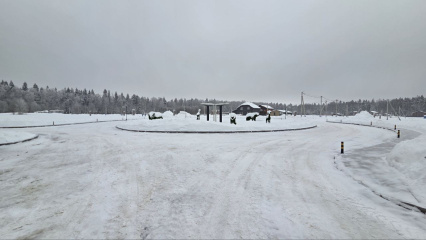 Очистка тротуаров и зон общего пользования в «Триумфальном»