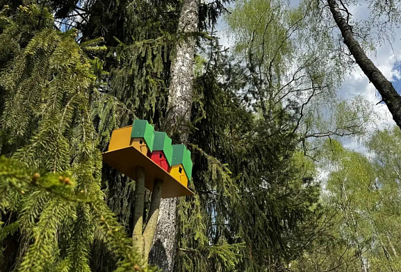 ПриЛесной