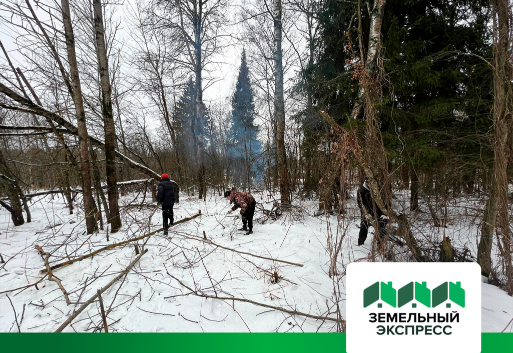 КП "Каретный ряд" проводятся работы по уборке сухостоя