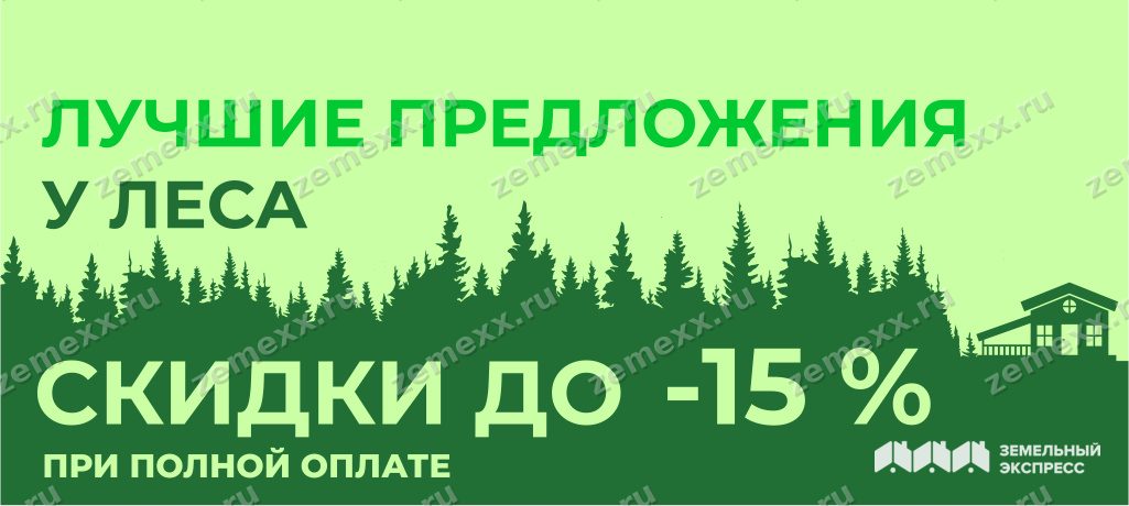 Лучшие предложения у леса