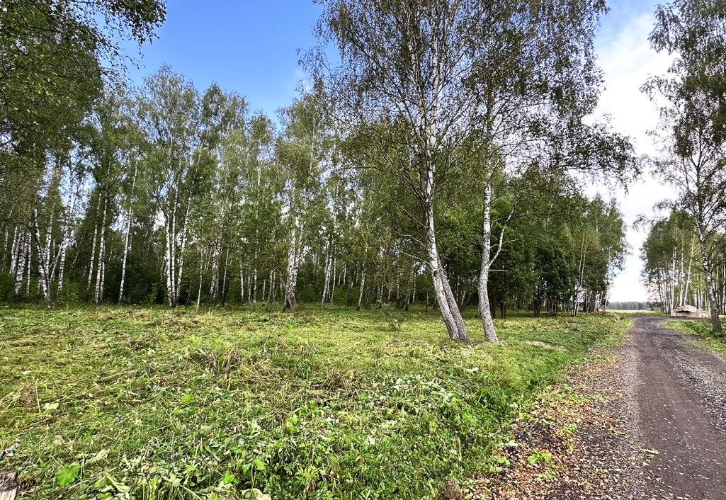 Работы по благоустройству в КП «Репино»