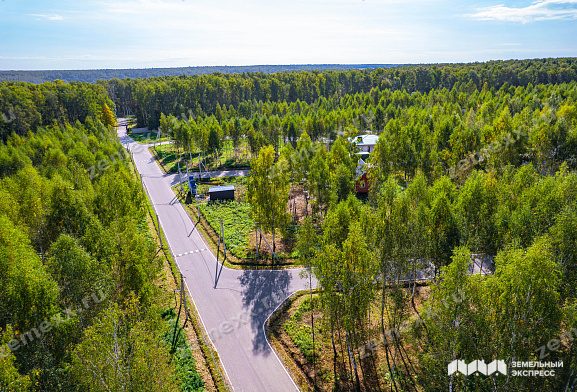 Лесной остров