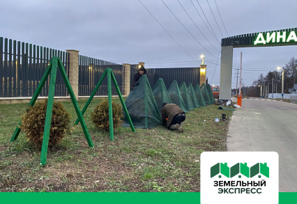 Утепление зеленых насаждений в КП “Династия”