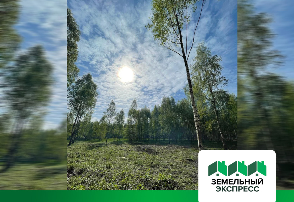 Уборка территории в поселке "Лесной остров"