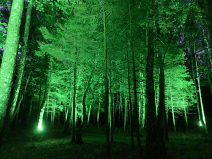 В КП «ПриЛесной» реализовано уникальное освещение.