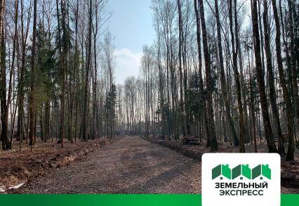 Приступили к выносу границ непроданных участков в посёлке бизнес-класса "ПриЛесной"