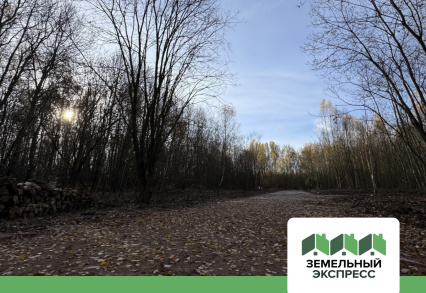 Отсыпка чернового слоя в КП “Новое Растуново”