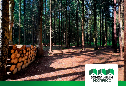 Благоустройство участков в поселке "Лесной остров"