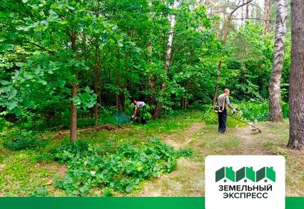 Работы по зачистке участков, прилегающих к лесу в поселке «Династия»