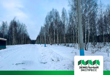 Произвели установку опор ЛЭП в поселке "Лесной Остров"