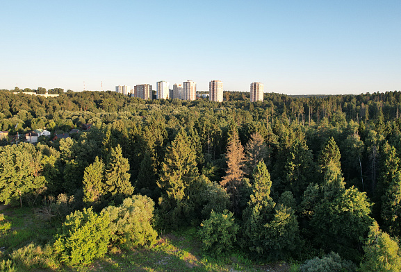Формула
