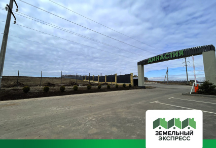 Благоустройство подъездной дороги к поселку "Династия"