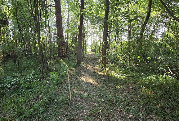 Формула