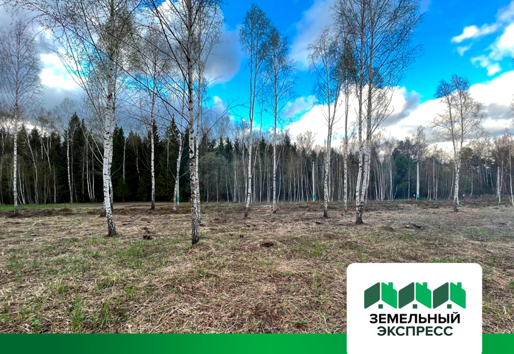 Благоустройство природной зоны поселка "Лесной остров"