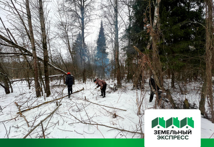 КП "Каретный ряд" проводятся работы по уборке сухостоя