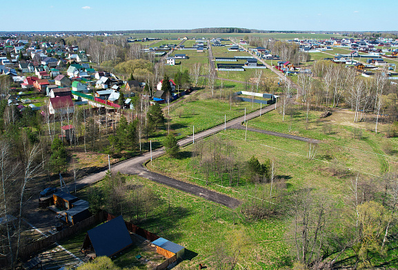 Калина