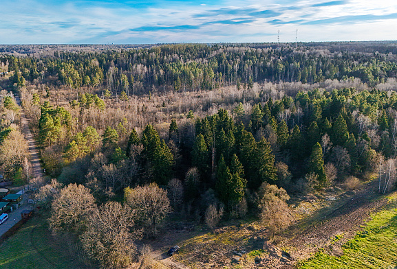 Формула